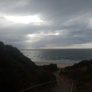 Meet your Posher, Nicholas